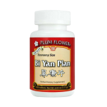 Plum Flower - Bi Yan Pian