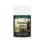 Plum Flower - Abundant Qi Plus Teapills (Shen Qi Wu Wei Zi Wan)