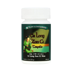 Image of Plum Flower – Er Long Zuo Ci Wan