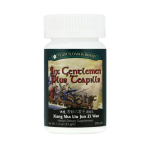 Image of Plum Flower – Six Gentlemen Plus Teapills (Xiang Sha Liu Zi Wan)