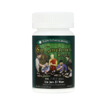 Plum Flower - Six Gentlemen Teapills (Liu Jun Zi Wan)