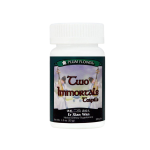 Image of Plum Flower – Two Immortals (Er Xian Wan)