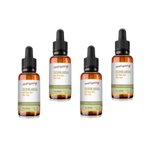 Bai Hua She She Cao (Oldenlandia) - Liquid Extract (Tincture) - Image 3