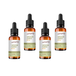 image of SARGASSUM SEAWEED Tincture 4pk