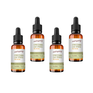 image of gynostemma leaf Tincture 4pk