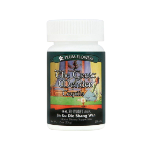 Plum Flower - The Great Mender (Jin Gu Die Shang Wan)