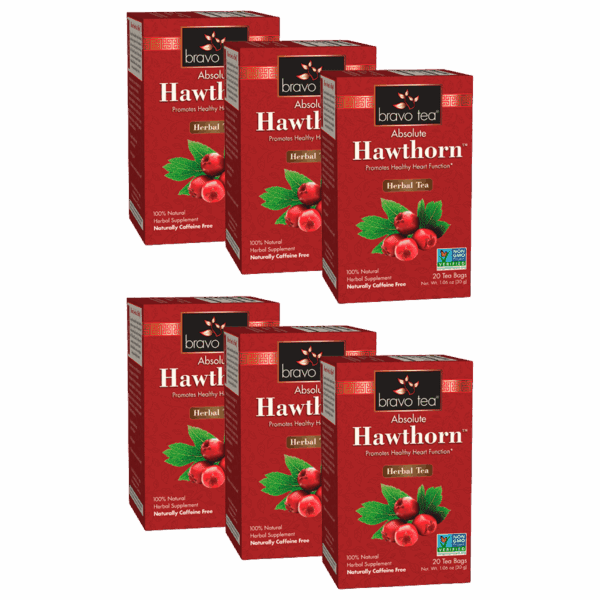 Image of Absolute Hawthorn Tea - by Bravo Tea - 6-pack
