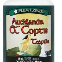 PLUM FLOWER - Aucklandia & Coptis - Xiang Lian Wan | Mayway | Best Chinese Medicines