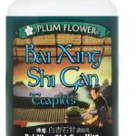 Plum Flower - Bai Xing Shi Gan