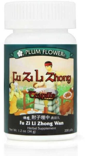 Plum Flower - Fu Zi Li Zhong