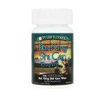 Plum Flower - Bai Xing Shi Gan