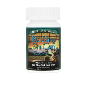 Image of Plum Flower – Bai Xing Shi Gan