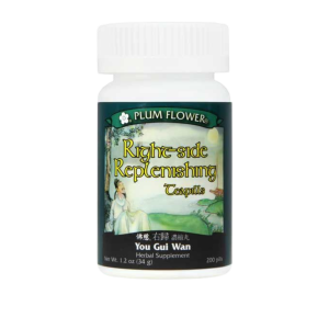 Plum Flower - Right-side Replenishing Teapills (You Gui Wan)