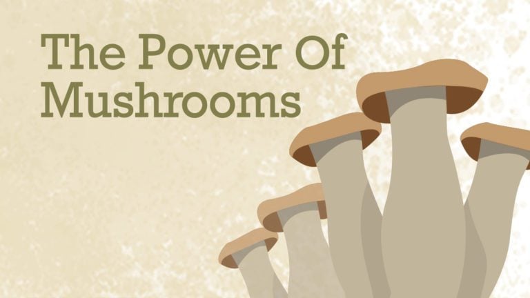 The power of mushrooms.