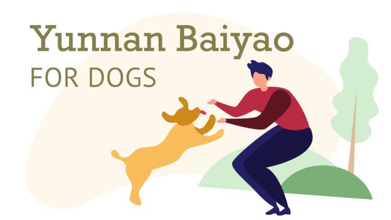 Yunnan baiyao for dogs.