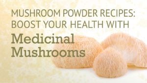 Mushroom Powder Recipes: Boost Your Health with Medicinal Mushrooms | Best Chinese Medicines