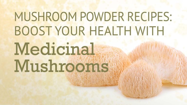Mushroom powder recipes: boost your health with medicinal mushrooms.
