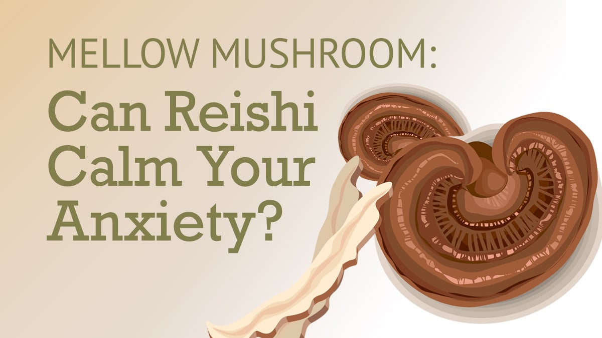 Mellow Mushroom: Can Reishi Calm Your Anxiety?