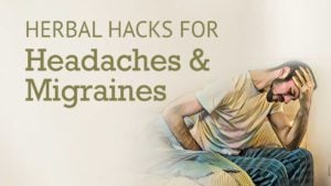 Herbal Hacks for Headaches and Migraines | Best Chinese Medicines