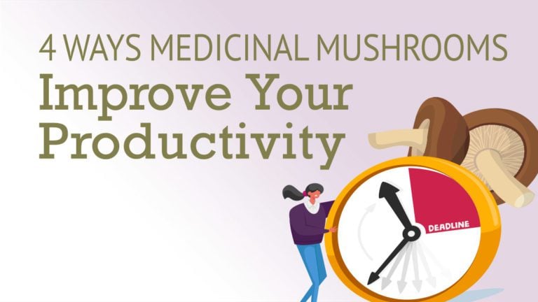 Four ways medicinal mushrooms improve your productivity.