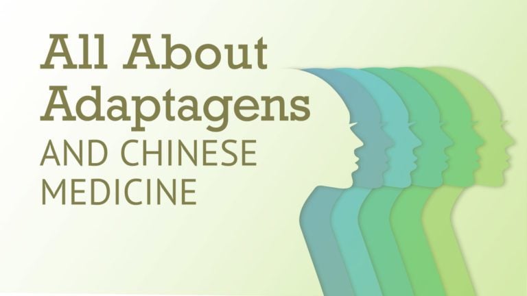 All About Adaptogens and Chinese Medicine | Best Chinese Medicines