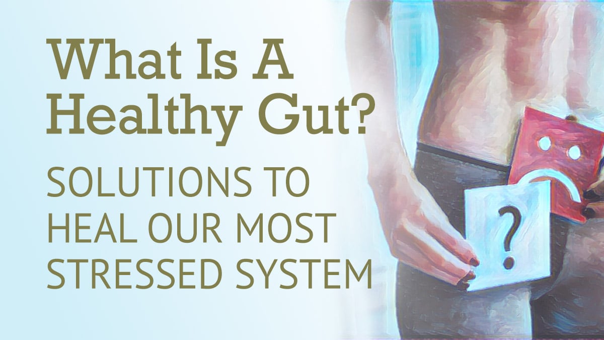 What is a Healthy Gut? Natural Solutions to Heal our Most Stressed System