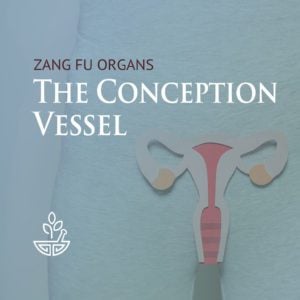 Conception Vessel (Ren Mai)
