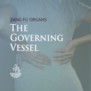 Governing Vessel (Du Mai)