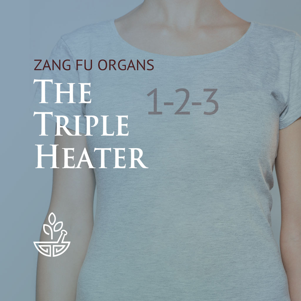 Zang Fu Organs Triple Heater Best Chinese Medicines