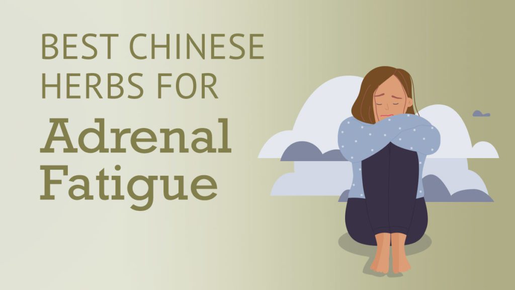 Best Chinese Herbs for Adrenal Fatigue Best Chinese Medicines
