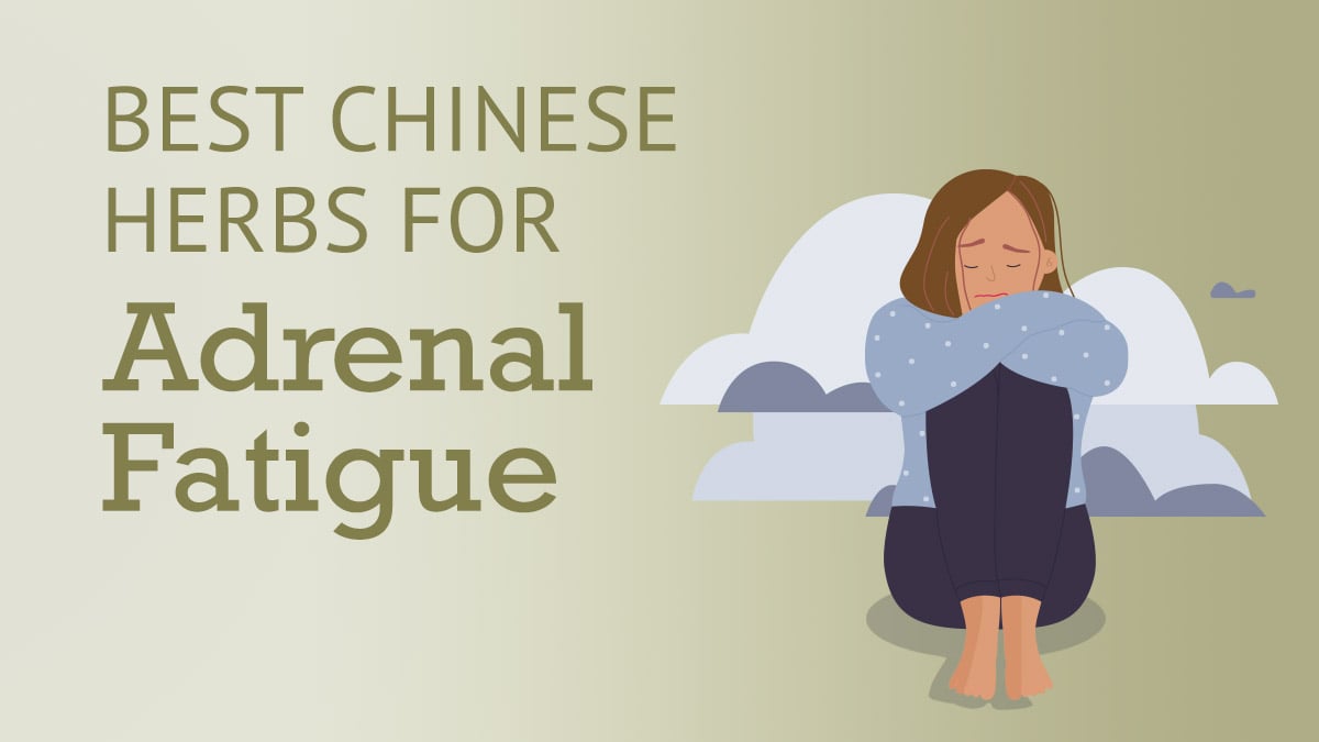 Best Chinese Herbs for Adrenal Fatigue