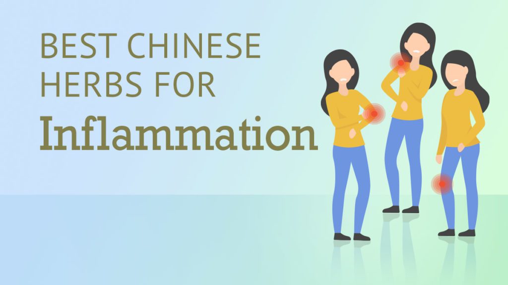 Chinese Herbs for Inflammation Best Chinese Medicines