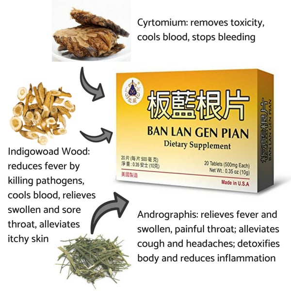 Cyrtomium, Indigowoad Wood, and Andrographis are key ingredients of Lao Wei's Ban Lan Gen Pian Dietary Supplement tablets.
