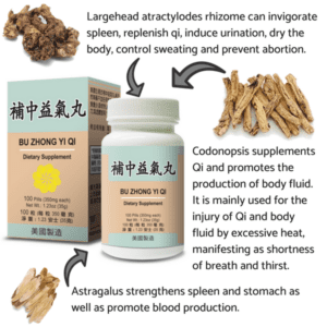 Key ingredients are largehead atractylodes rhizome, codonopsis, and astragalus.