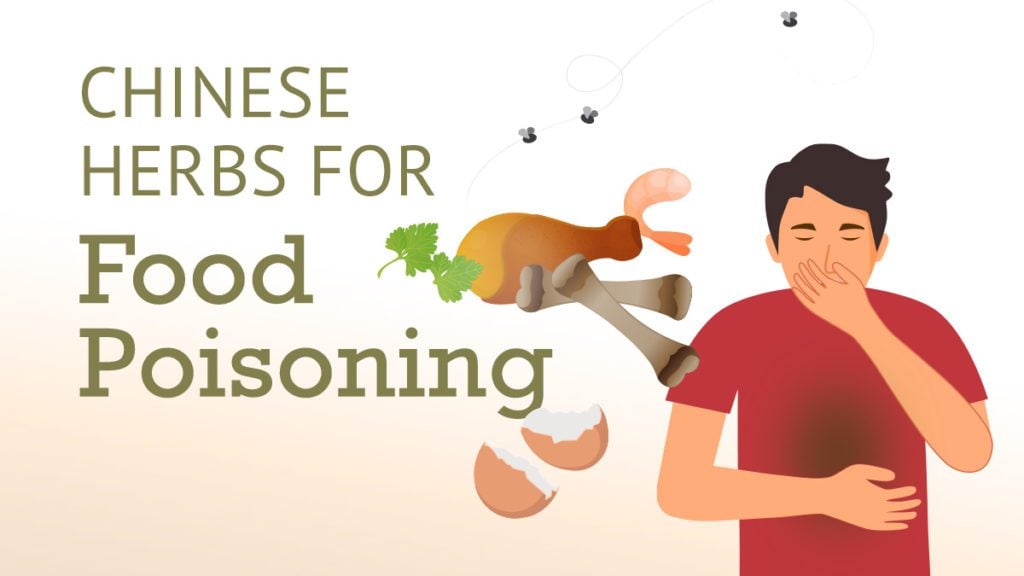 Best Chinese herbs for food poisoning.