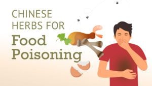 Best Chinese Herbs for Food Poisoning | Best Chinese Medicines