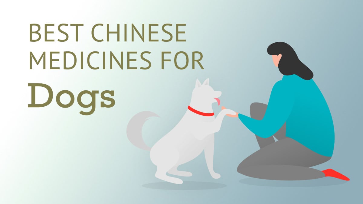Best Chinese Medicines for Dogs
