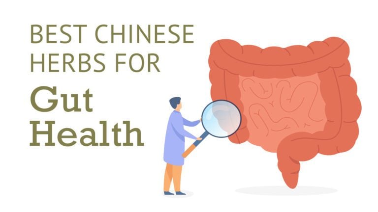Best chinese herbs for gut health.