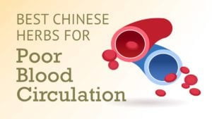 Best chinese herbs for poor blood circulation.