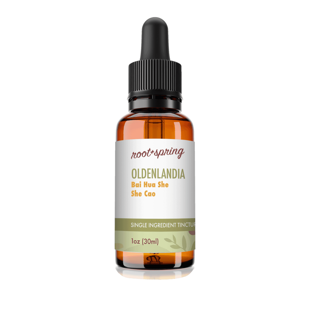 Image of eyedropper-top tincture bottle containing 1 fluid ounce (30 milliliters) of Oldenlandia by root + spring.