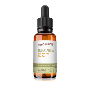 Eyedropper-top tincture bottle containing 1 fluid ounce (30 milliliters), by root + spring.