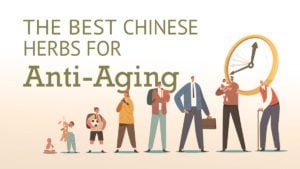 The Best Chinese Herbs for Anti-Aging