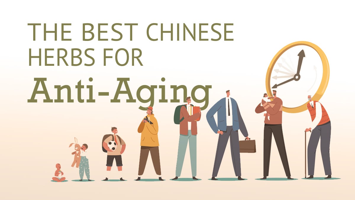 The Best Chinese Herbs for Anti-Aging