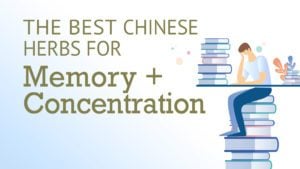 The Best Chinese Herbs for Memory and Concentration