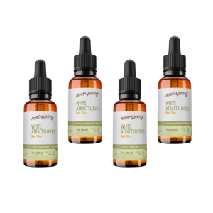 image of WHITE ATRACTYLODES Tincture 4pk