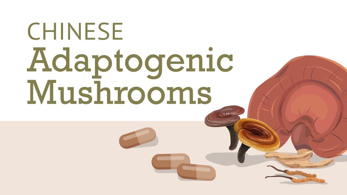 Chinese Adaptogenic Mushrooms
