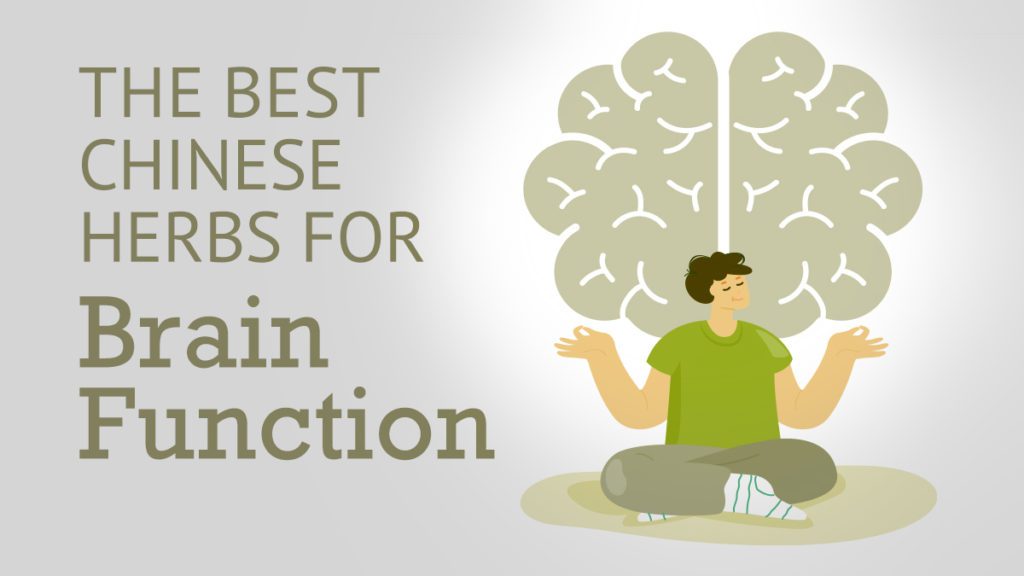 Best Chinese Herbs for Brain Function Best Chinese Medicines