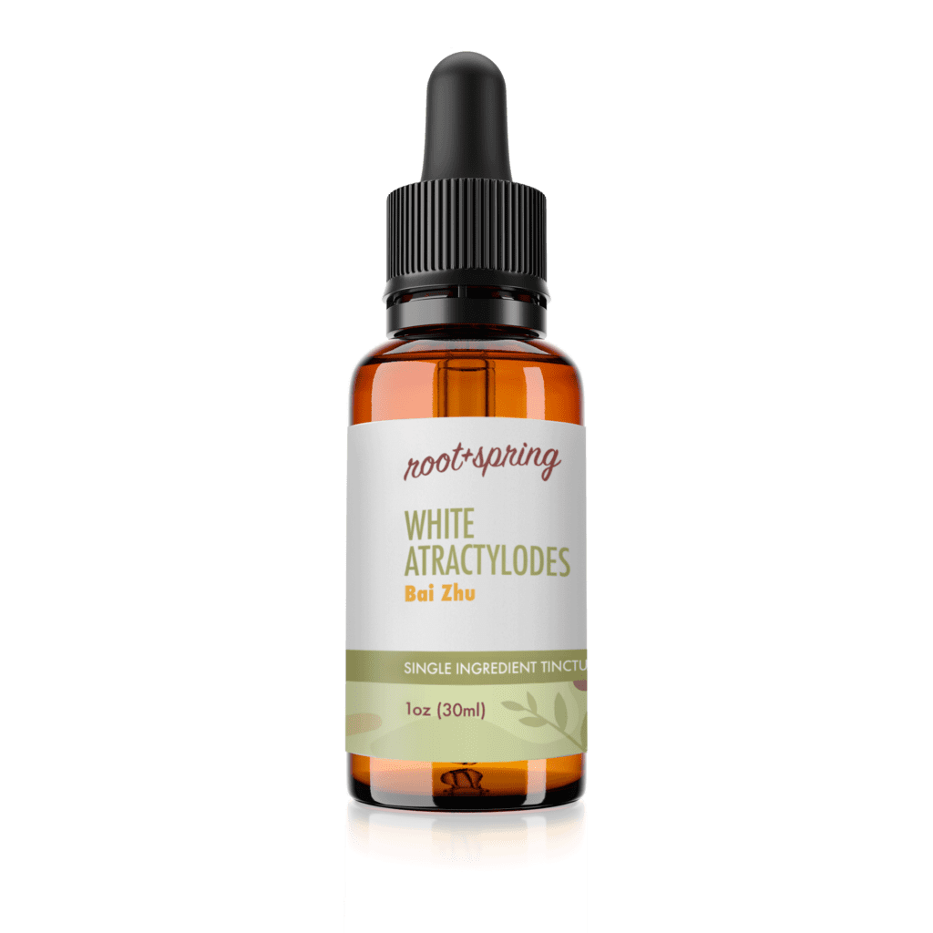Image of Eyedropper-top tincture bottle containing 1 fluid ounce (30 milliliters) of White Atractylodes (Bai Zhu) by root + spring.