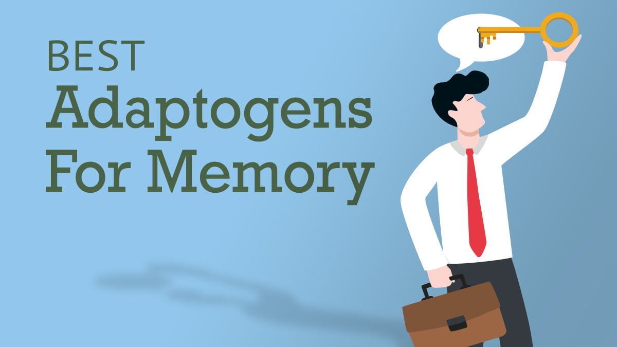 Best Adaptogens for Memory