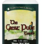 Plum Flower - The Great Pulse (Sheng Mai Wan)